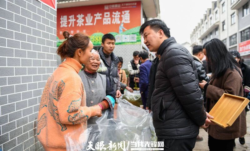 有关于贵州普安：春茶上市 产销两旺的最新消息(9)