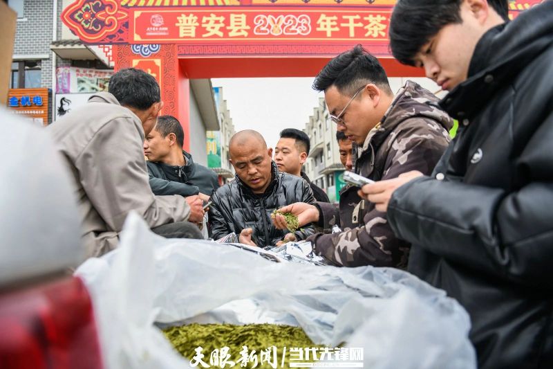 有关于贵州普安：春茶上市 产销两旺的最新消息(18)
