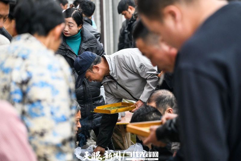 有关于贵州普安：春茶上市 产销两旺的最新消息(14)