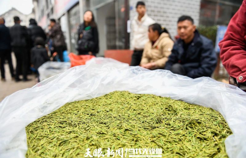 有关于贵州普安：春茶上市 产销两旺的最新消息(10)