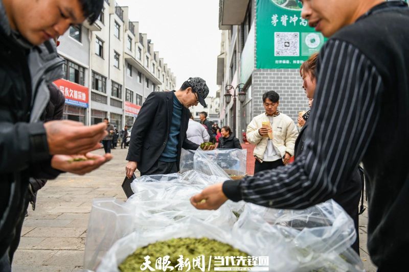 有关于贵州普安：春茶上市 产销两旺的最新消息(17)