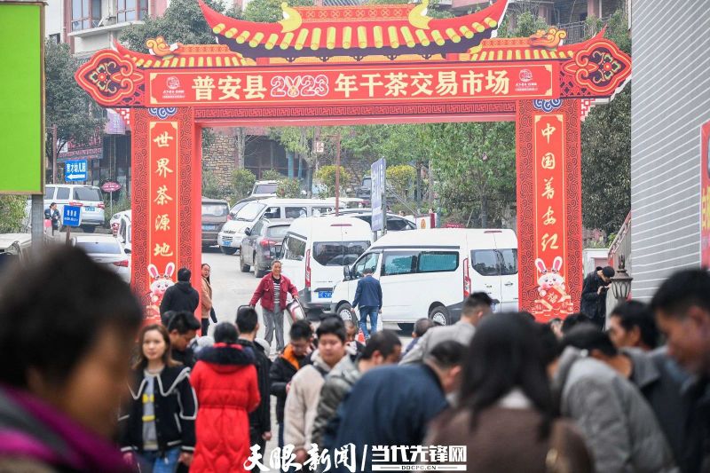 有关于贵州普安：春茶上市 产销两旺的最新消息(15)