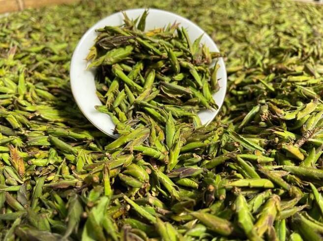 关于保山田园达仁：春茶独芽抢“ 鲜 ” 采摘忙的资讯(3)