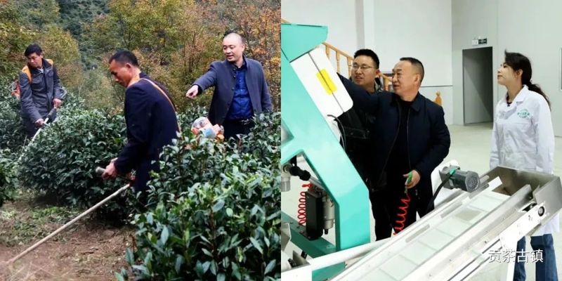 关于紫阳县焕古镇各级人大代表积极为茶产业建言献策的消息