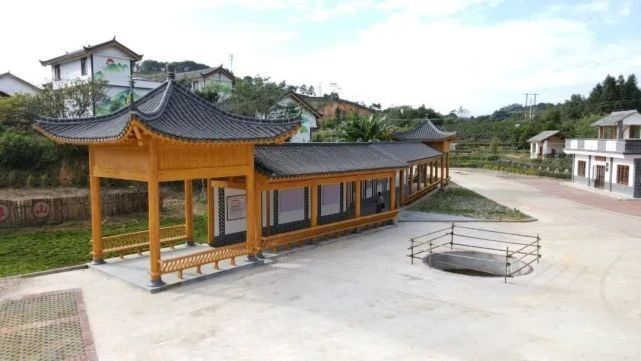 有关于定了，苍梧县2023年开茶节3月21日在六堡镇举行的资讯(2)