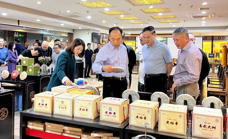有关于茶到高处归普洱：云南省人大常委会副主任李文荣率队到广州茶业协会调研普洱茶高质量发展情况的信息(2)
