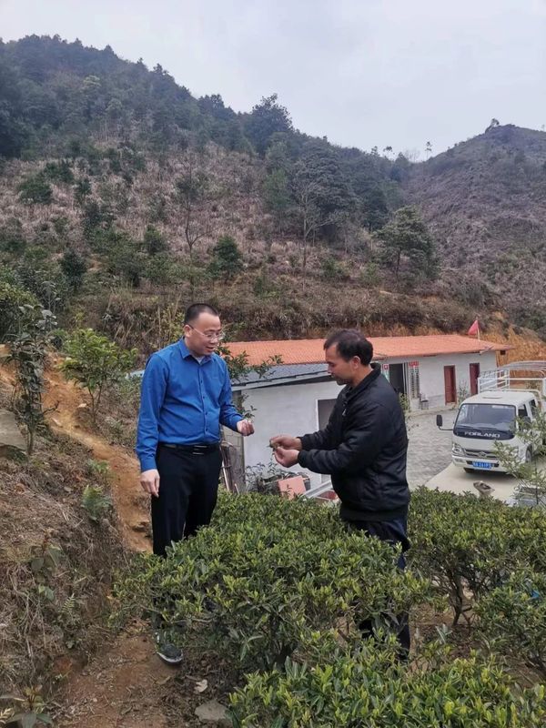 关于覃塘区市场监管局主动服务，助力毛尖茶产业发展的资讯