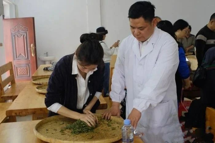 关于广西华侨农场早春茶开采 民众体验炒茶乐趣的最新消息(1)