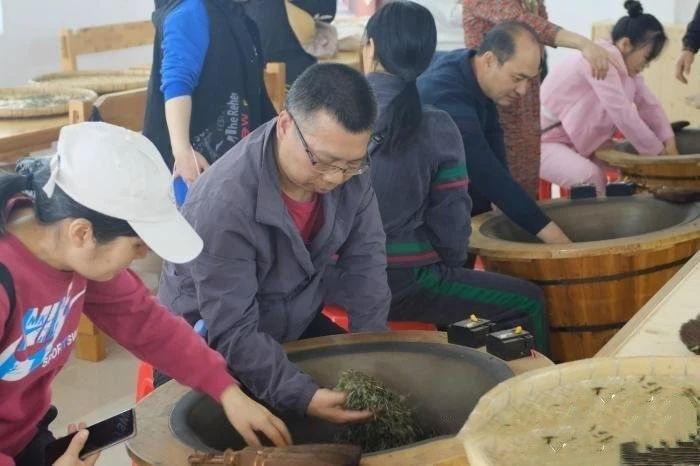 关于广西华侨农场早春茶开采 民众体验炒茶乐趣的最新消息