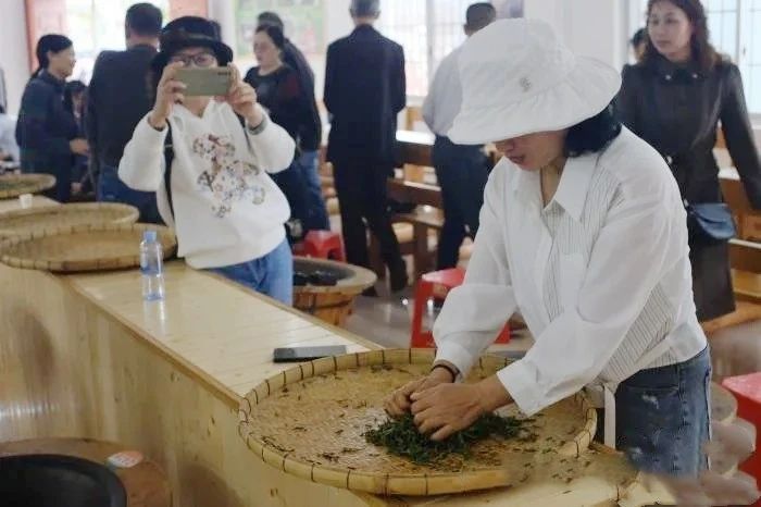 关于广西华侨农场早春茶开采 民众体验炒茶乐趣的最新消息(4)