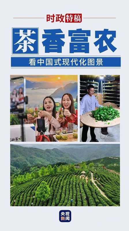 有关于看中国式现代化图景，茶香富农的相关信息