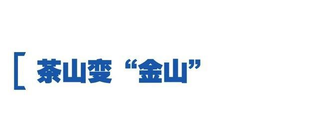 有关于看中国式现代化图景，茶香富农的相关信息(3)