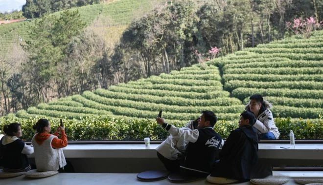 有关于看中国式现代化图景，茶香富农的相关信息(10)