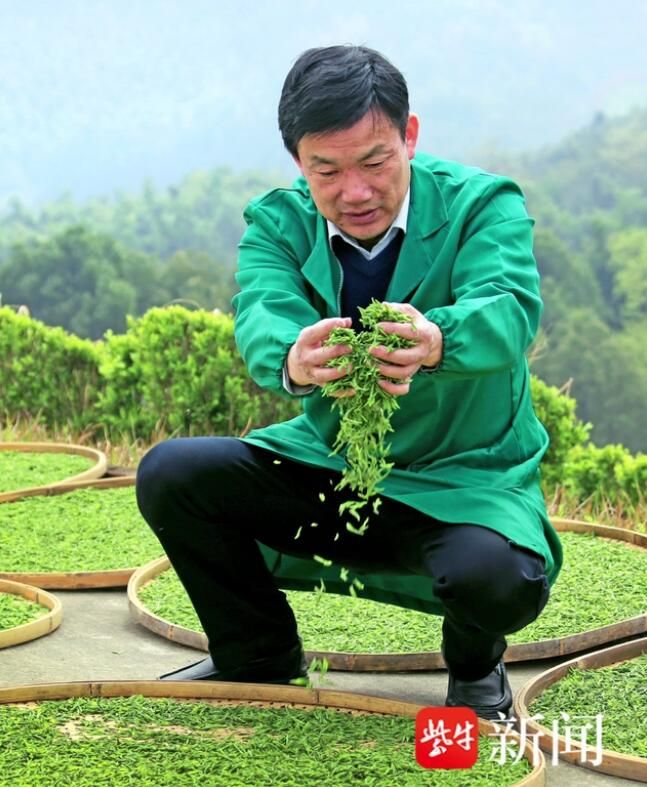 关于宜兴兰山茶场成为省优质特色茶示范基地的新闻(3)