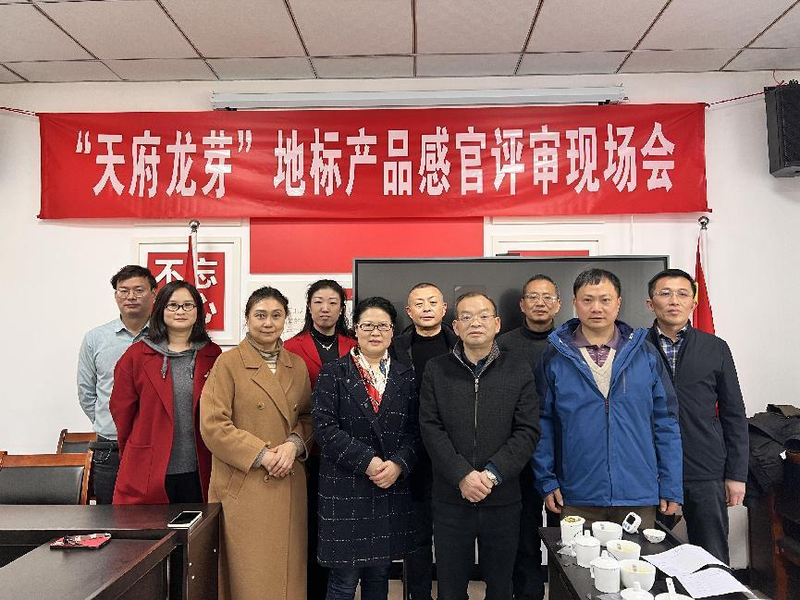 有关于“天府龙芽”地标产品感官评审现场会顺利举行的新闻