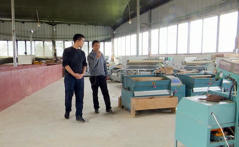 关于凤冈锌硒茶：春茶采摘时  茶企茶农茶园忙的消息(2)