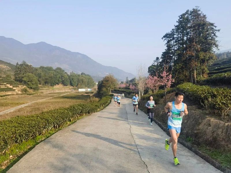 关于逐梦乐跑 “中霖杯”茶平乡万亩茶园越野赛开跑啦！的信息(1)