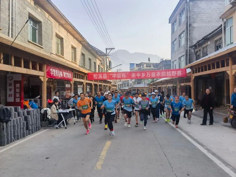 关于逐梦乐跑 “中霖杯”茶平乡万亩茶园越野赛开跑啦！的信息(3)