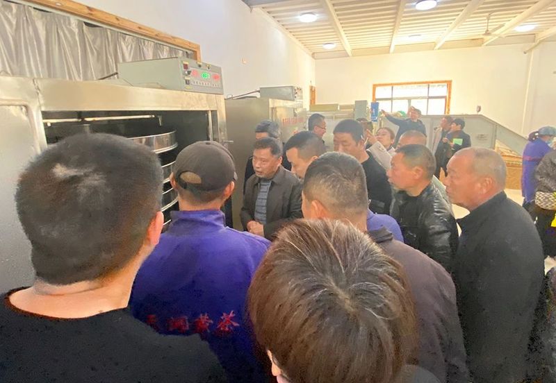 有关于平阳黄汤加工技术培训班在朝阳山举行的消息(6)