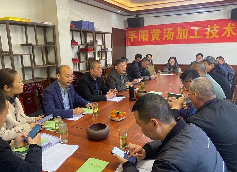 有关于平阳黄汤加工技术培训班在朝阳山举行的消息(2)