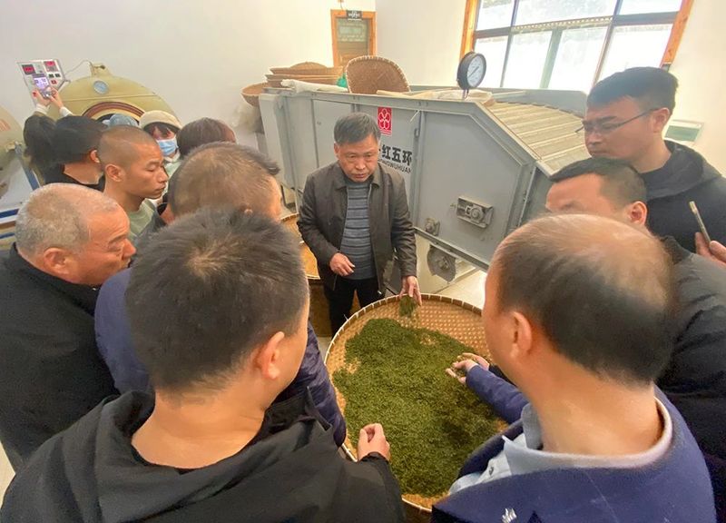 有关于平阳黄汤加工技术培训班在朝阳山举行的消息(4)