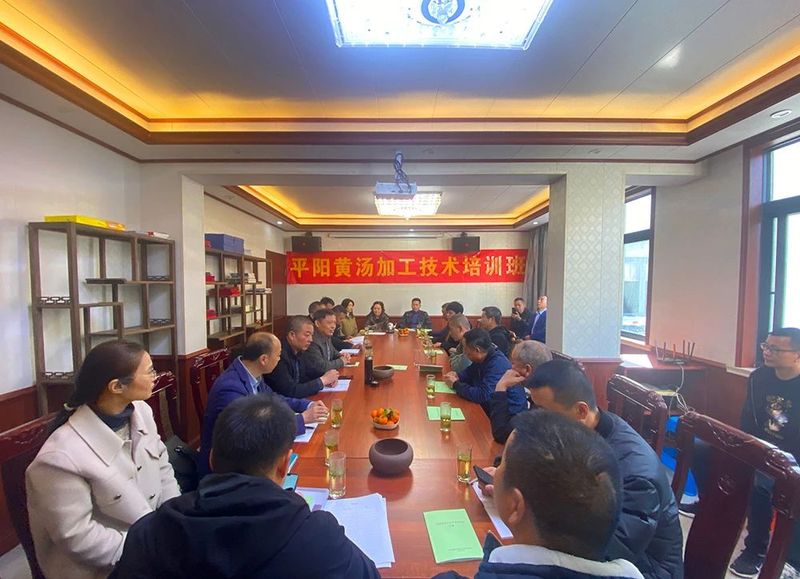 有关于平阳黄汤加工技术培训班在朝阳山举行的消息