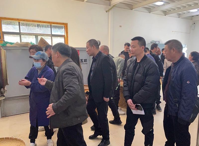 有关于平阳黄汤加工技术培训班在朝阳山举行的消息(5)