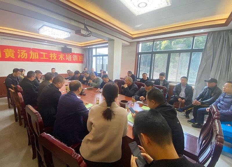有关于平阳黄汤加工技术培训班在朝阳山举行的消息(1)