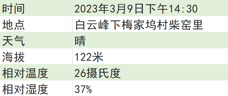 关于2023西湖龙井之声⑤茶芽监测 茶芽宝宝成长数据速递 时刻准备下山!的最新消息(3)