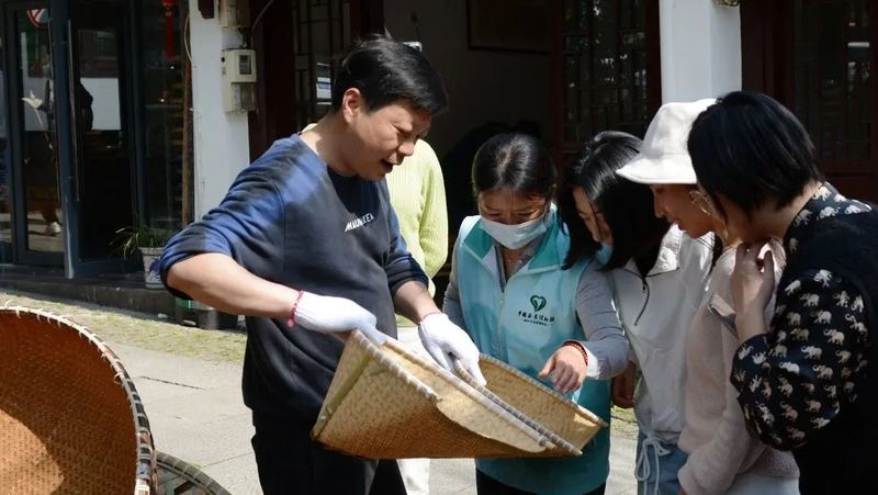 关于2023西湖龙井之声⑤茶芽监测 茶芽宝宝成长数据速递 时刻准备下山!的最新消息(16)