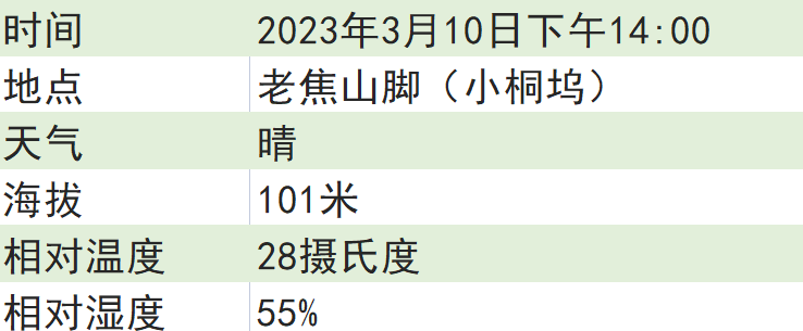 关于2023西湖龙井之声⑤茶芽监测 茶芽宝宝成长数据速递 时刻准备下山!的最新消息(7)