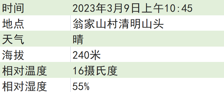 关于2023西湖龙井之声⑤茶芽监测 茶芽宝宝成长数据速递 时刻准备下山!的最新消息(1)