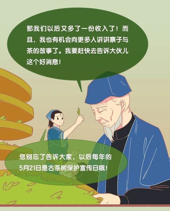 有关于3月1日施行！听阿芸讲云南省古茶树保护条例的信息(15)