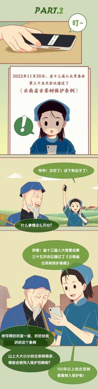有关于3月1日施行！听阿芸讲云南省古茶树保护条例的信息(3)