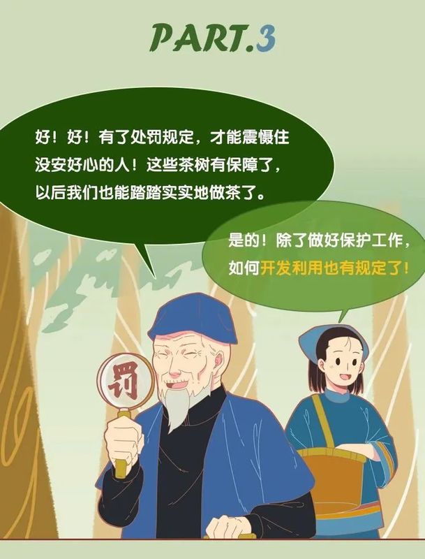 有关于3月1日施行！听阿芸讲云南省古茶树保护条例的信息(11)