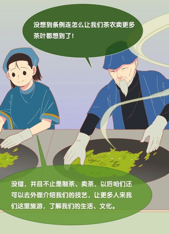 有关于3月1日施行！听阿芸讲云南省古茶树保护条例的信息(13)