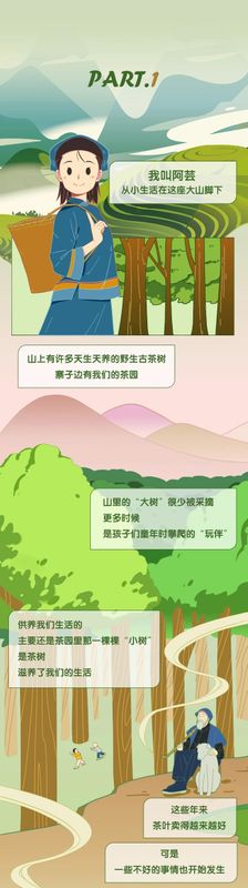 有关于3月1日施行！听阿芸讲云南省古茶树保护条例的信息(1)