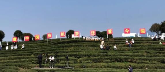 有关于​“2023广西春茶节系列活动启动仪式” 在昭平县举行的新闻