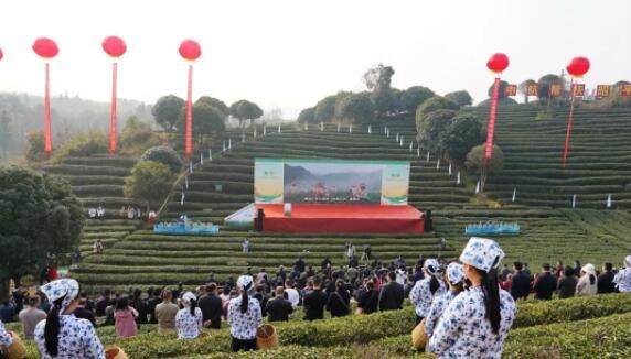 有关于​“2023广西春茶节系列活动启动仪式” 在昭平县举行的新闻(1)