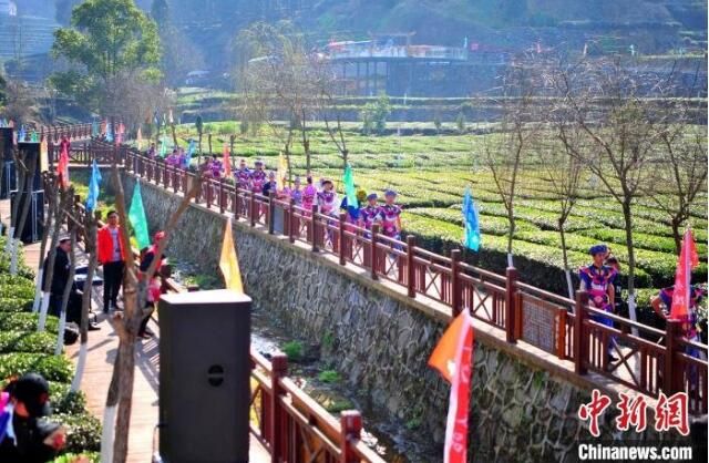 关于三峡移民镇：茶园变公园 采茶成休闲的内容(2)