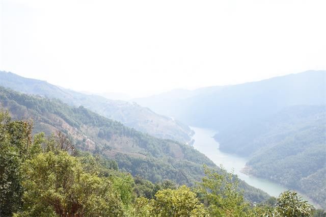 关于2023年勐库大雪山古树茶价格的新闻