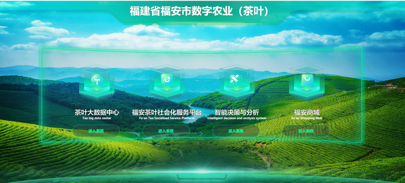 关于福建福安：以茶产业大数据中心为支撑，3800亩智慧茶园走向振兴路的相关内容(1)