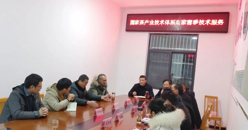 有关于科技助农，国家茶产业技术体系专家春季技术服务的最新消息(1)