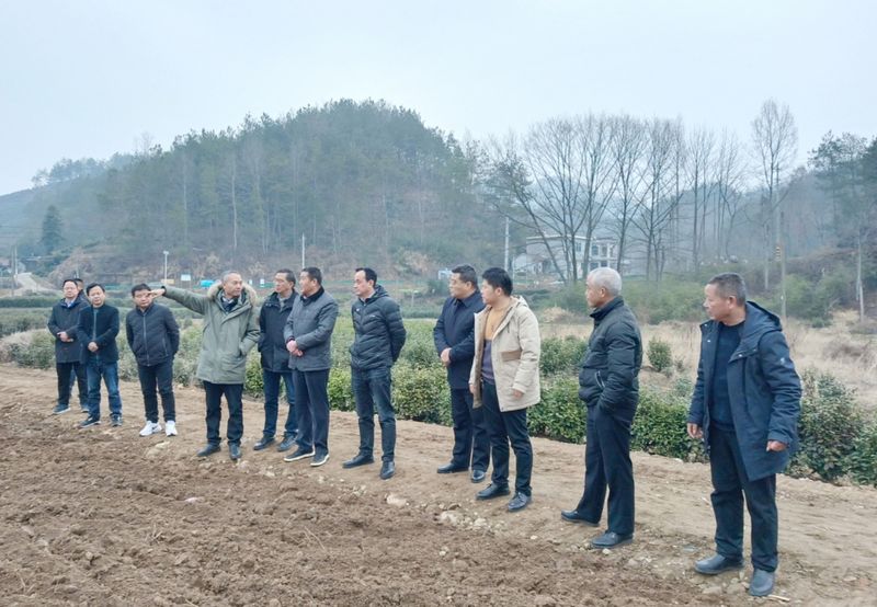 有关于科技助农，国家茶产业技术体系专家春季技术服务的最新消息