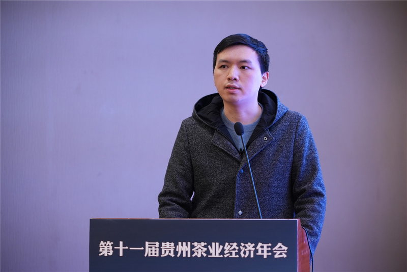 有关于黔茶企业品牌要追几匹马才能飞起来？的相关内容(5)