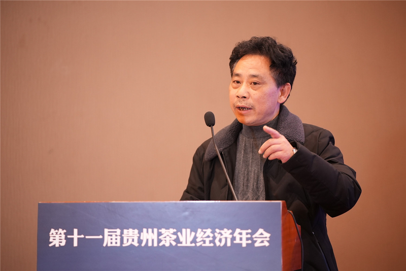 有关于黔茶企业品牌要追几匹马才能飞起来？的相关内容(12)