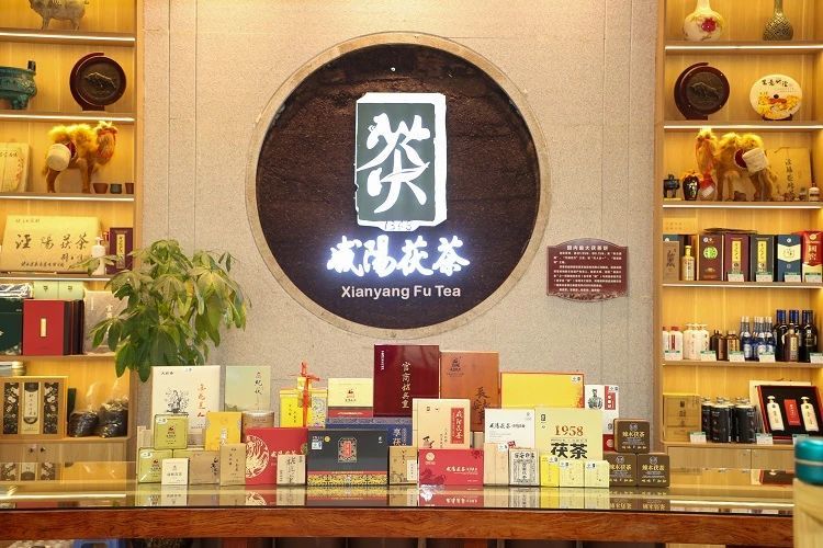 关于临茶业经济年会品咸阳秦风唐韵的信息(4)