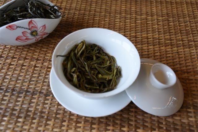 有关于云南普洱春茶采摘时间的新闻(2)