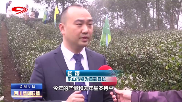 关于开春采茶忙 峨眉山茶陆续开采的信息(1)