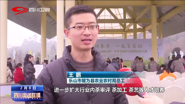 关于开春采茶忙 峨眉山茶陆续开采的信息(3)